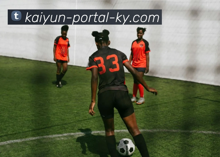 开云平台生态图